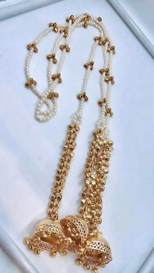 Kashmiri Parandi