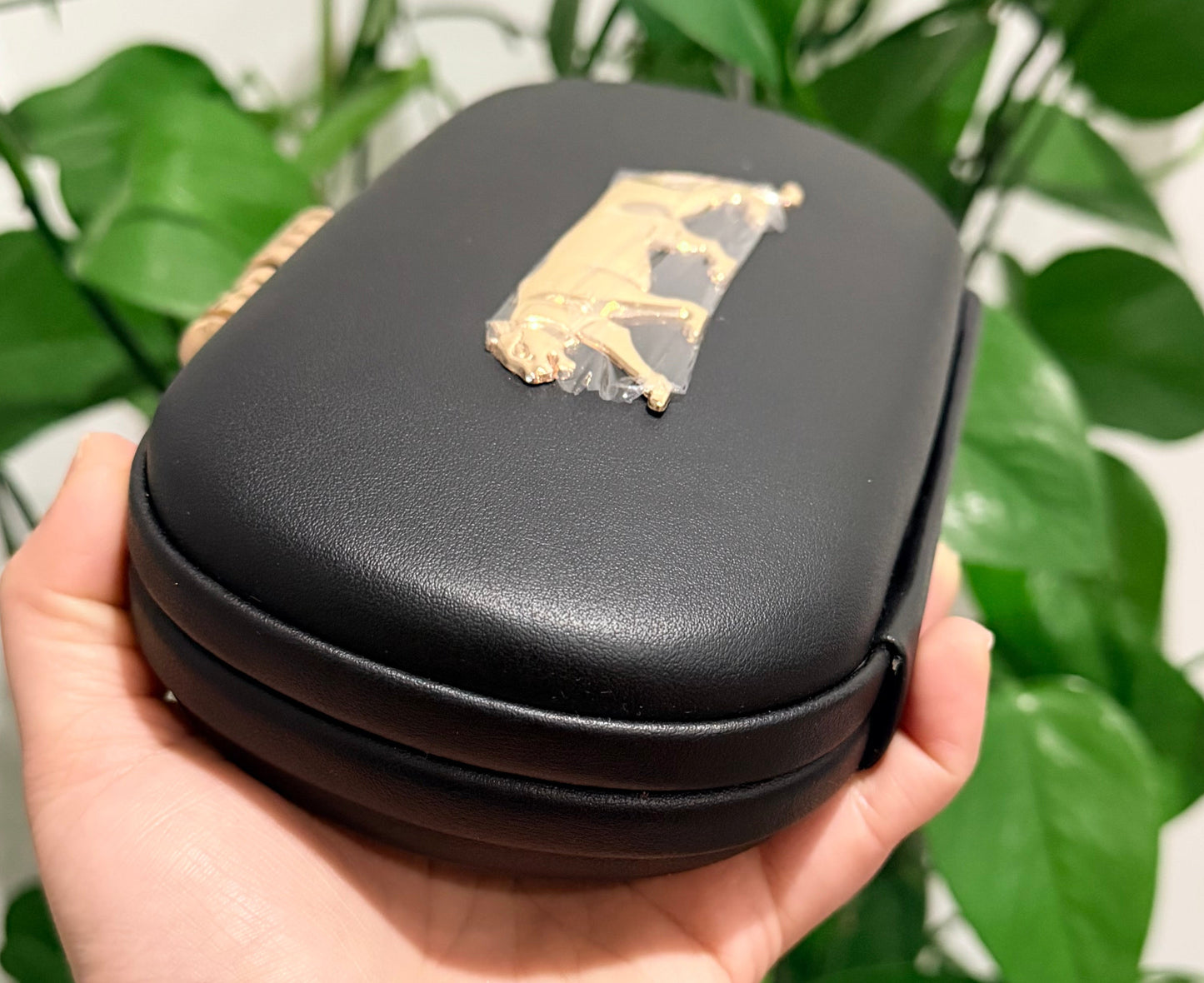 Sabya Premium Quality Clutch-Back in Stock