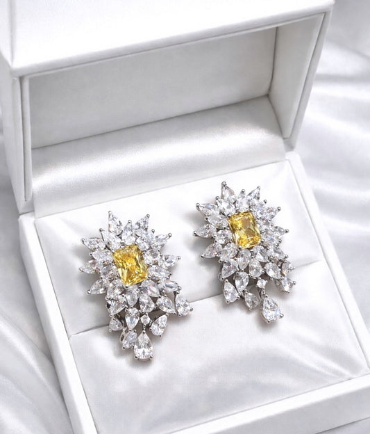 VVS Clarity Studs