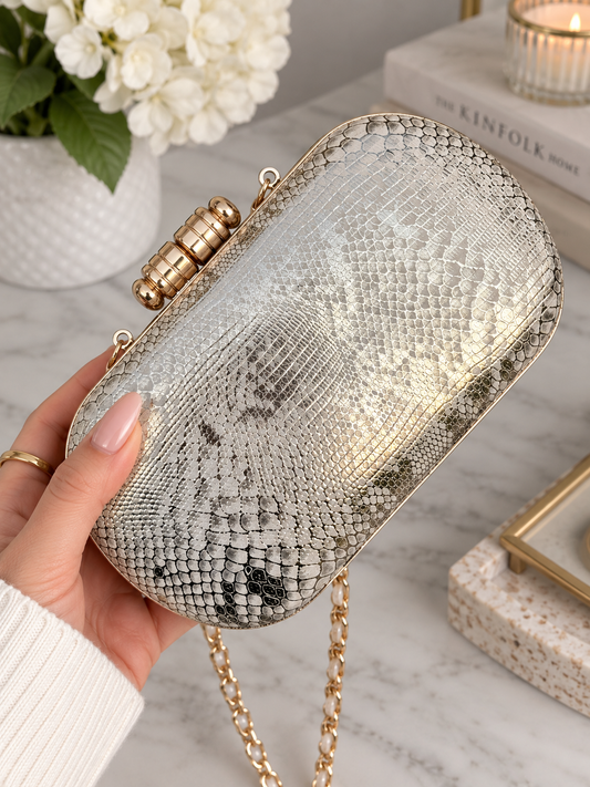 Sabya Inspired Clutch
