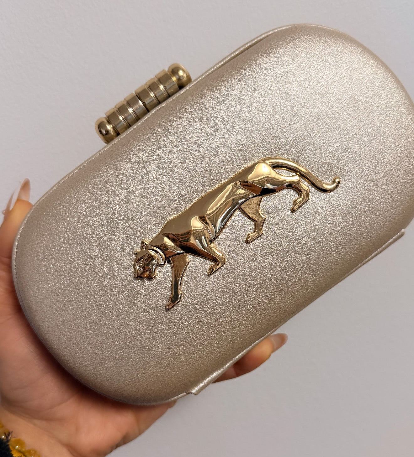 Sabya Clutch