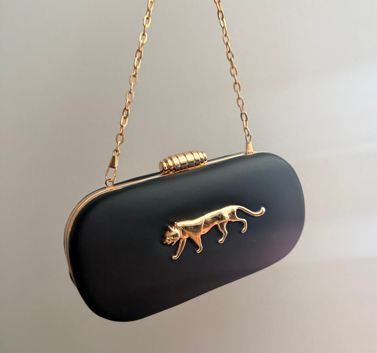 Sabya Clutches