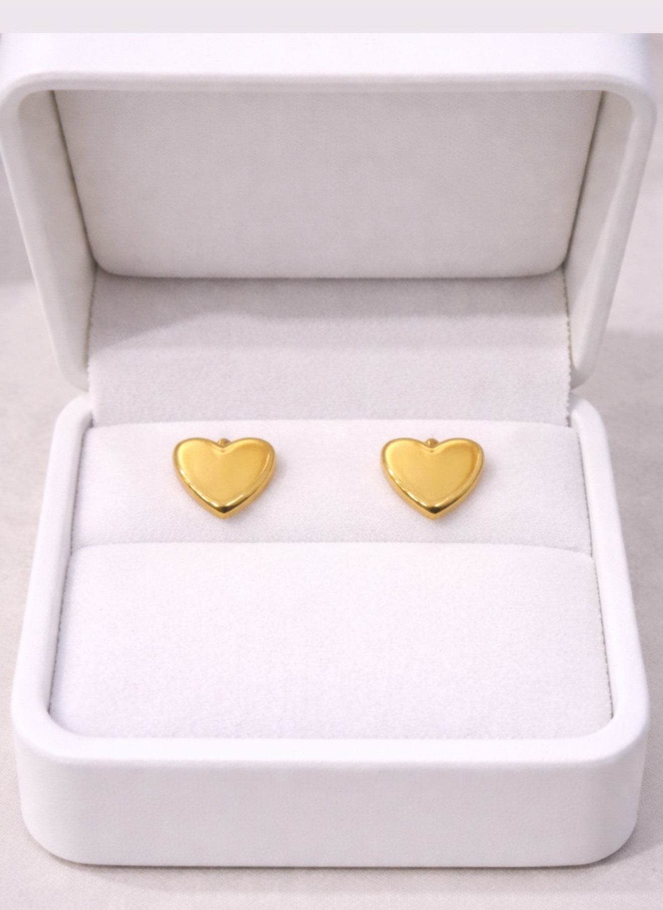 Dil Anti Tarnish Earrings